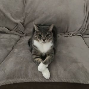 Meet your Posher, Brenda